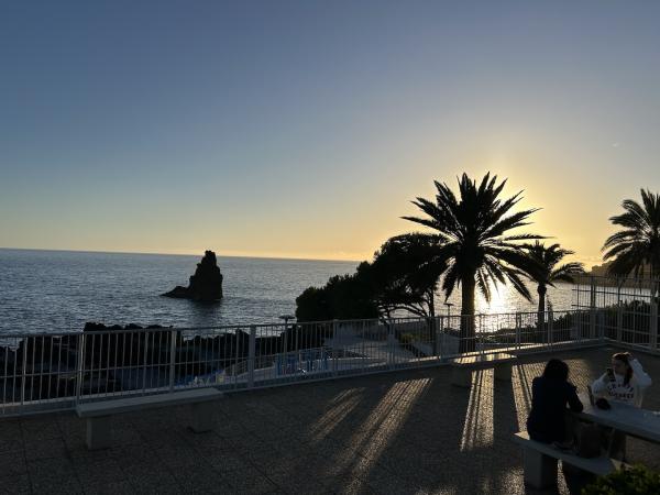 1783954646383694.jpeg IMG_3935_small.jpeg