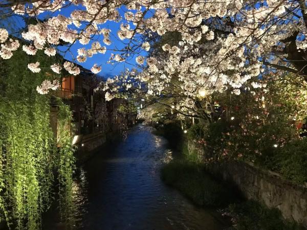 16.jpeg