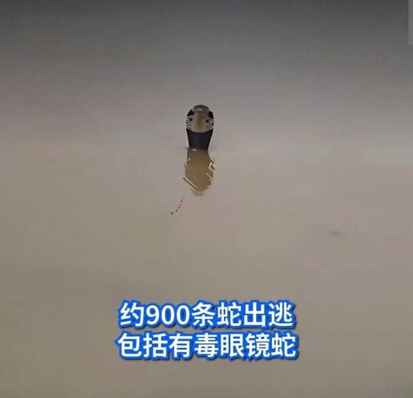1000028226.jpg