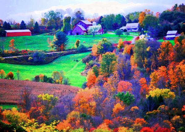 12_10-08-12_ Folliage in Upstate NY ŦԼ������Ҷ-30001.JPG