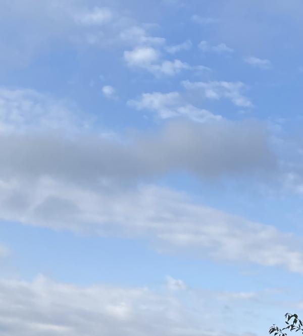 IMG_0176.jpeg