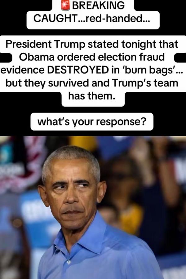1784802954242003.png