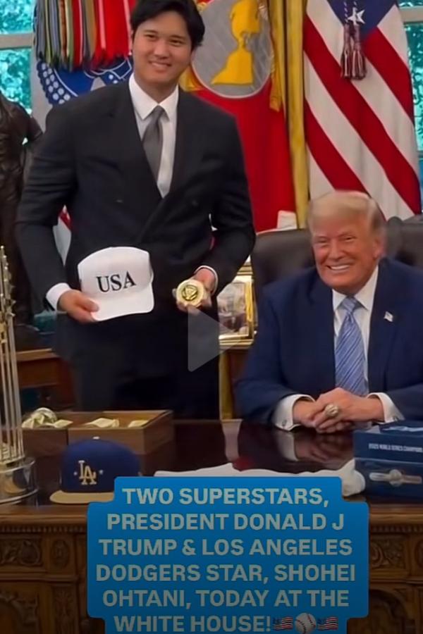 1784866155975717.png IMG_9596.png