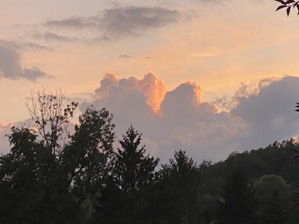 IMG_6144.jpeg