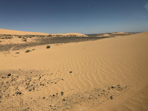 IMG_7956_small.jpeg