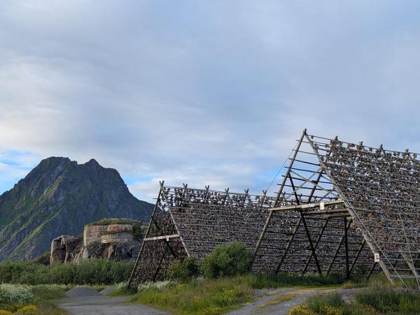1785514976778085.png lofoten2.png