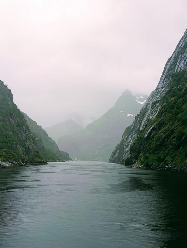 1785589391670612.jpg fjord T.jpg