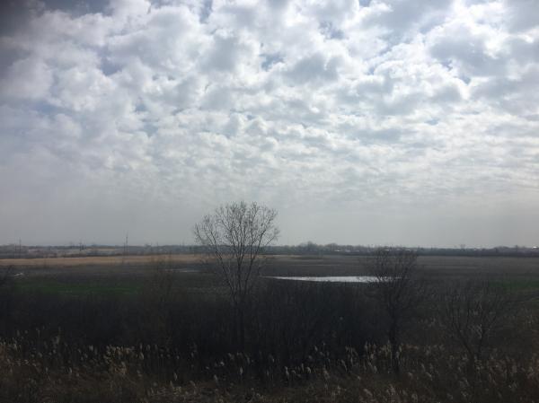 1785614014845749.jpg IMG_0288 (Custom).JPG