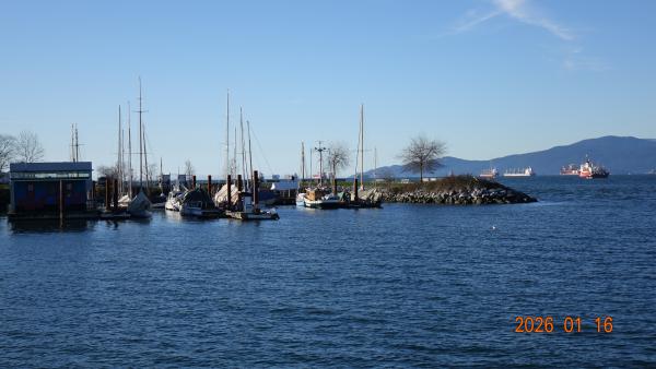 DSC00484.JPG