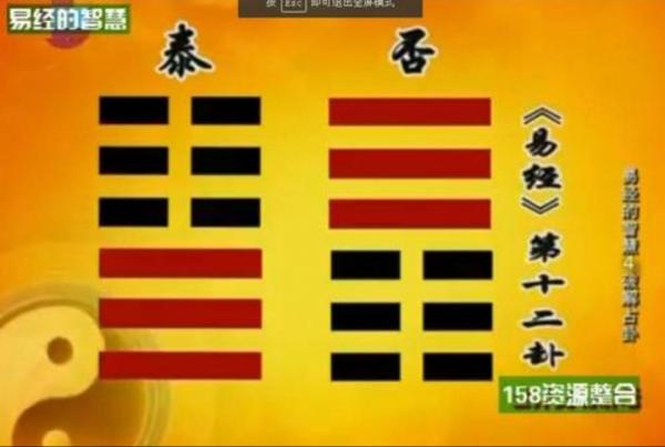 7421.jpg