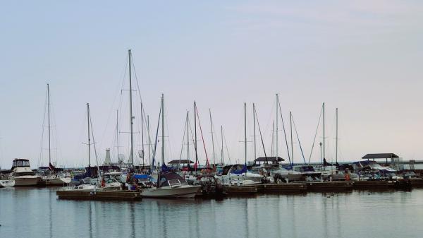 DSC_4536.JPG