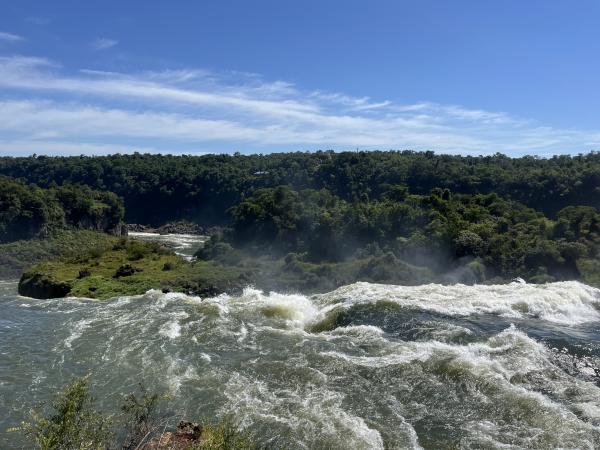 1786558960397217.jpg IMG_1266.JPG
