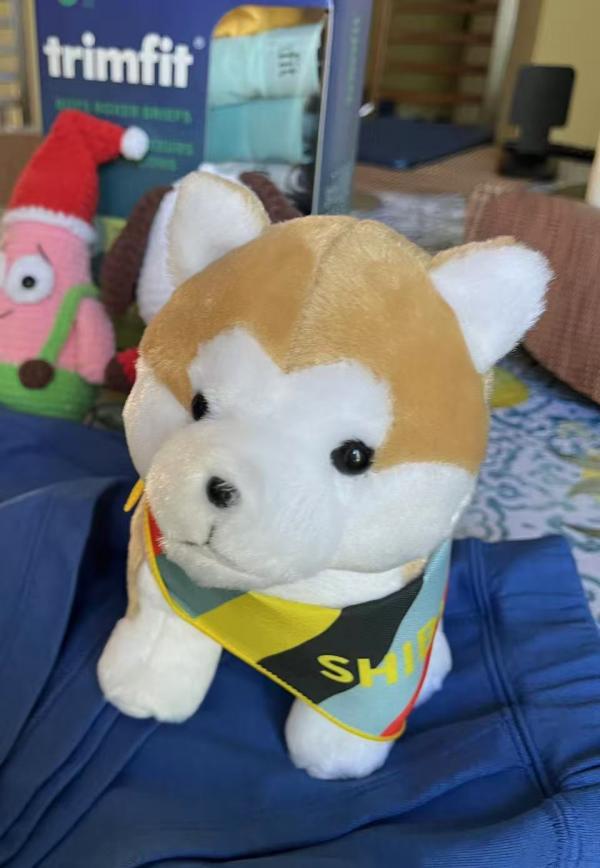 dog1.jpg