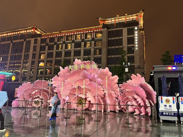 IMG_4518.JPG