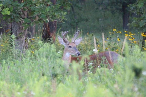 IMG_2414.JPG