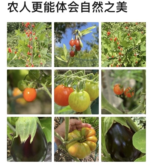 IMG_0278.jpeg