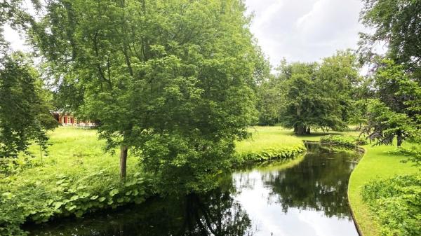 1787354166121934.jpeg 1787354166121934.jpeg