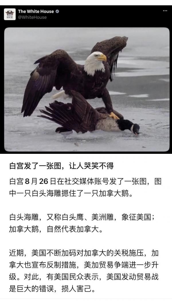IMG_8862.jpeg