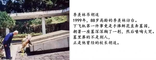 1788199581878991.jpg pic05.jpg