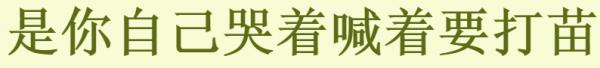 1788503148191357.png image.png