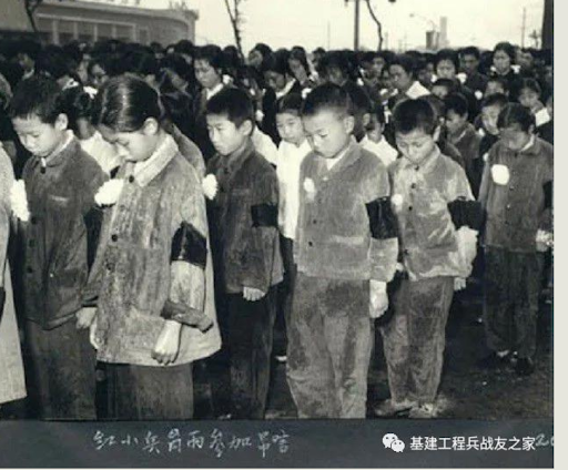 1788876685135135.png mao.png