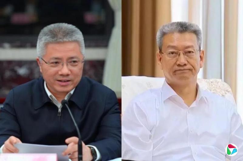杨丹旭：正部级梯队的新星