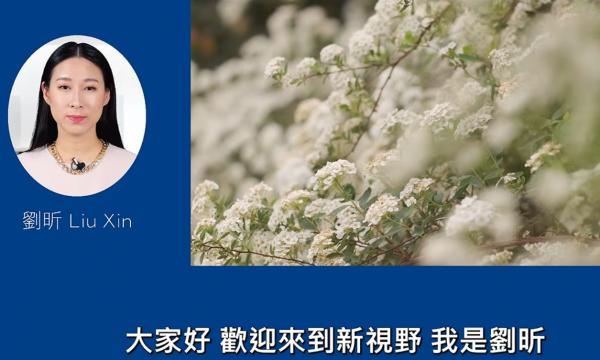 IMG_0100.png