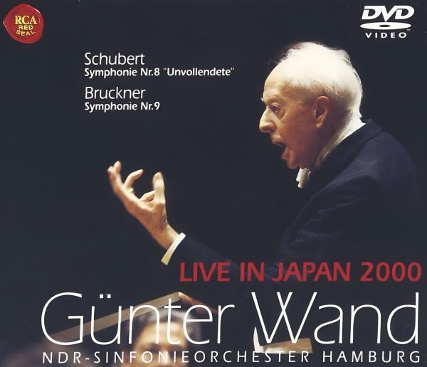 Wand-Japan.jpg