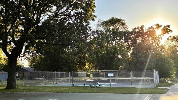 1789393814332257.jpg PIckleball Court under Oak.jpg