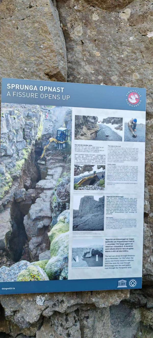 1790196880406138.jpeg 294.jpeg