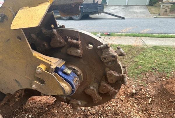 1790289264733227.jpg