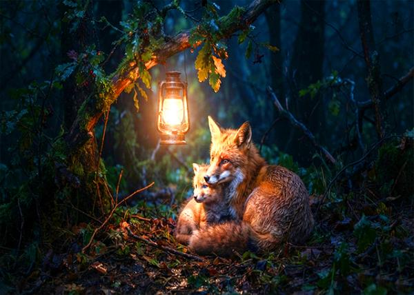 There Is Always a Light.jpg