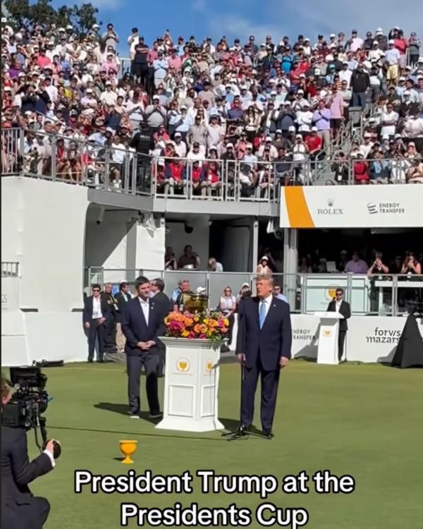 1790608217998853.png