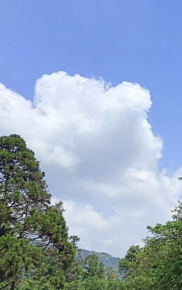 #2667-20260421沈邦維.jpg