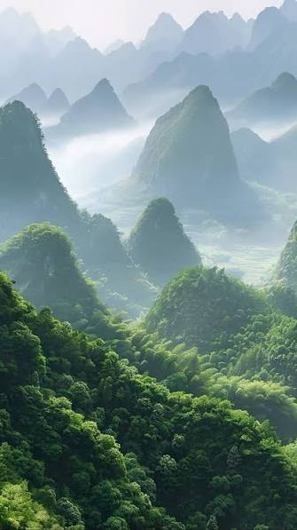 1790990003800378.jpg 广西十万大山.jpg
