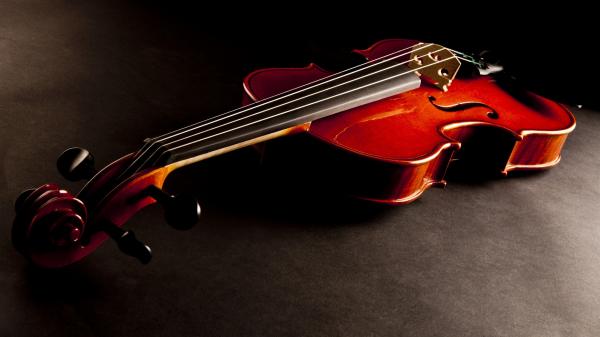 184___violin-010.jpg