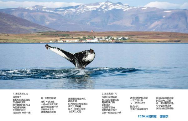 1791299866930772.jpg 冰島賞鯨.jpg