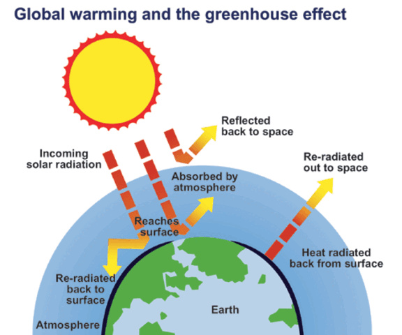 176-fig-1-global-warming.resized.jpg
