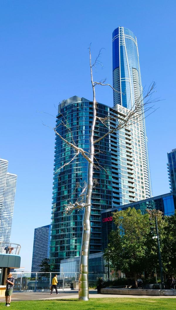 DSC_4685.JPG