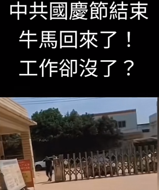 1791934108776194.png IMG_5282.png