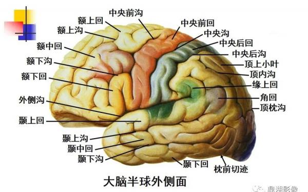 1791992575964159.jpg