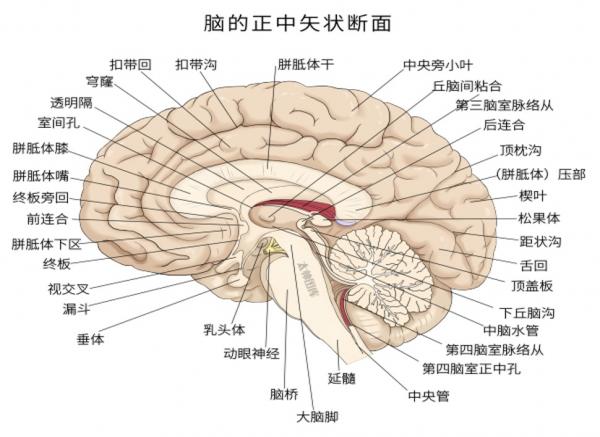 1791992575979865.jpg