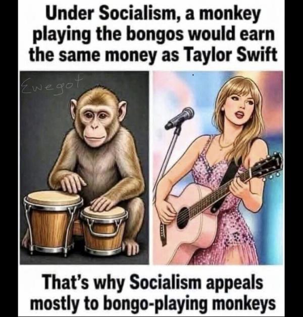 1792078882679526.jpeg