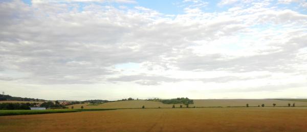 1792504831869659.jpg