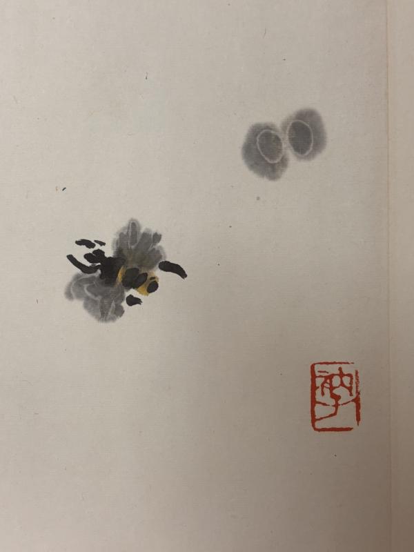 1792509141755089.jpg 000 CVUI6399 (自定义).JPG