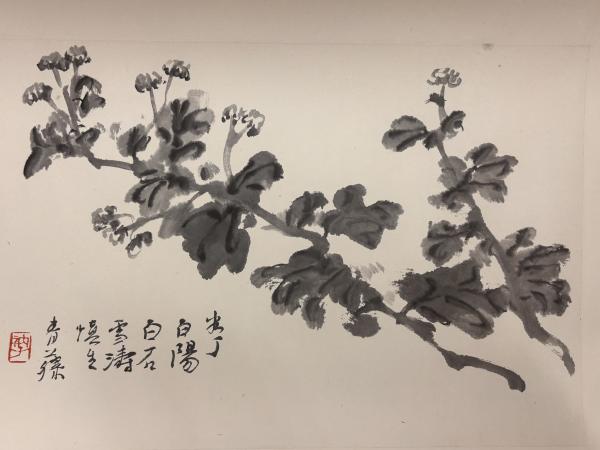1792509220700750.jpg