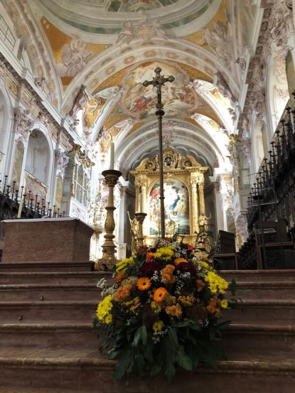 IMG_8872.jpeg