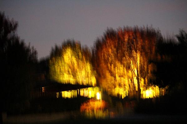 __IMG_1487 (Custom).JPG