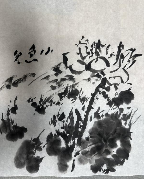 1793211449465500.jpg 00 JQZY0236 (自定义).JPG