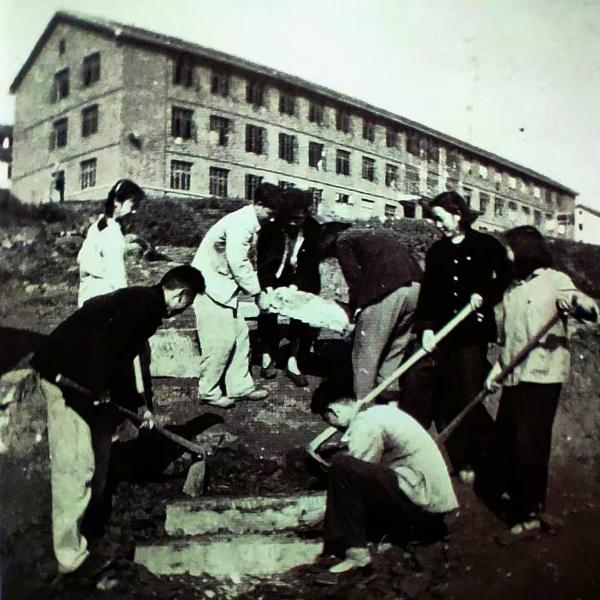 P2.jpg